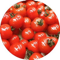 ももちゃんトマト